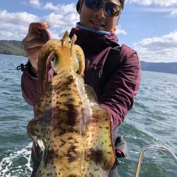 Magic（マジック） 釣果