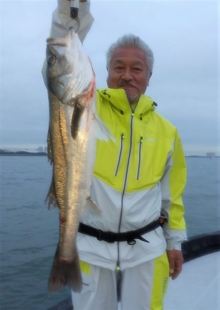 めだか屋 釣果