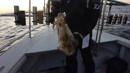 まるいち丸 ZERO-1 釣果