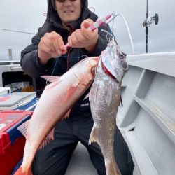 へいみつ丸 釣果