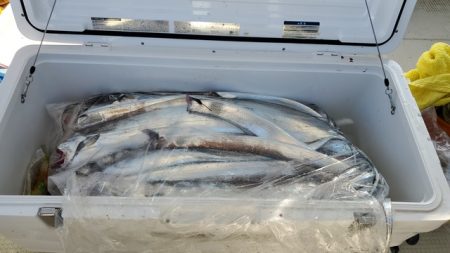 遊漁船　ニライカナイ 釣果