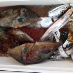弘福丸 釣果
