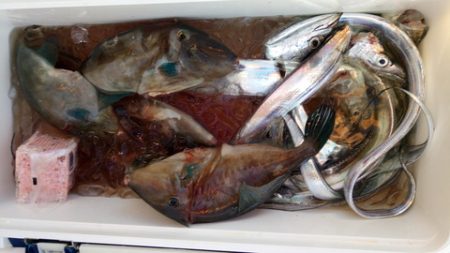 弘福丸 釣果