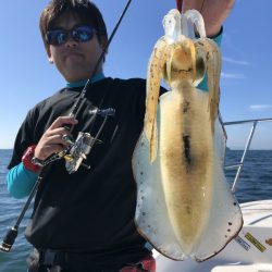 Magic(マジック) 釣果