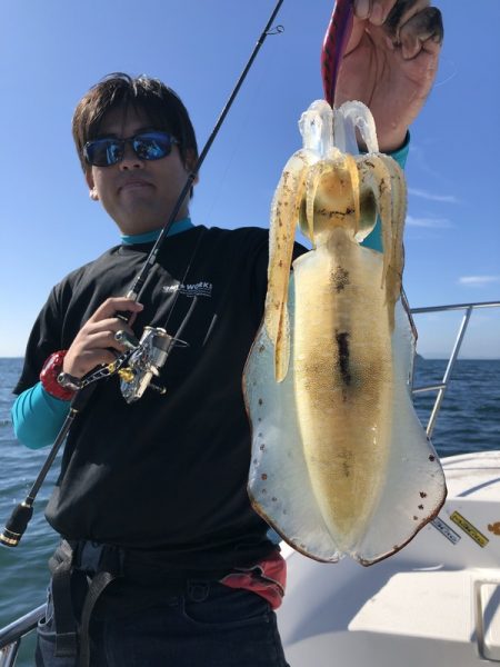 Magic(マジック) 釣果