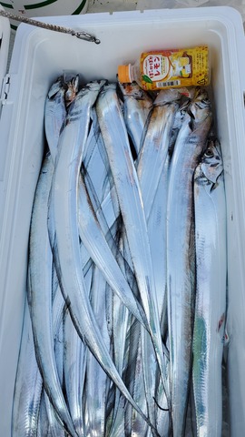 遊漁船 ニライカナイ 釣果