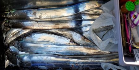 遊漁船　ニライカナイ 釣果