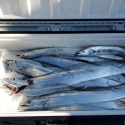 遊漁船 ニライカナイ 釣果