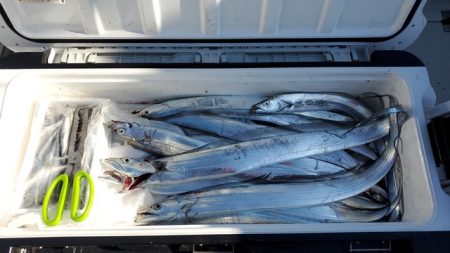 遊漁船 ニライカナイ 釣果