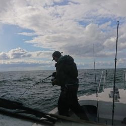 IDATEN(イダテン) 釣果