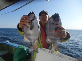 久里浜黒川本家 釣果