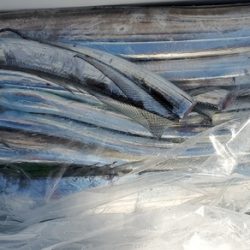 遊漁船 ニライカナイ 釣果