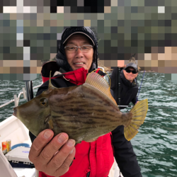 Magic（マジック） 釣果