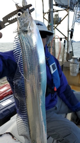 遊漁船　ニライカナイ 釣果