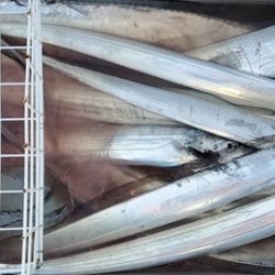 遊漁船 ニライカナイ 釣果