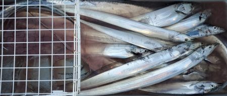 遊漁船 ニライカナイ 釣果