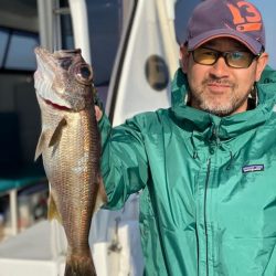 へいみつ丸 釣果