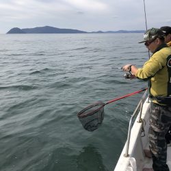 Magic（マジック） 釣果