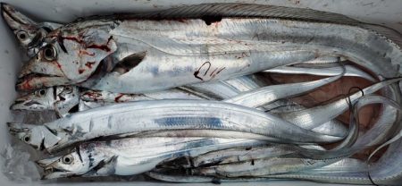 遊漁船 ニライカナイ 釣果