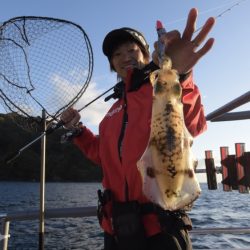 まるいち丸 ZERO-1 釣果
