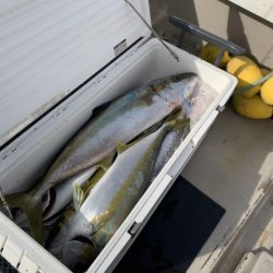 第八大安丸 釣果