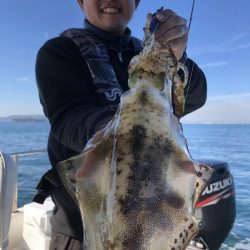 Magic(マジック) 釣果