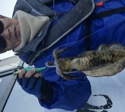 白墨丸 釣果