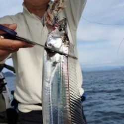 遊漁船 ニライカナイ 釣果