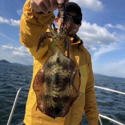 Magic（マジック） 釣果