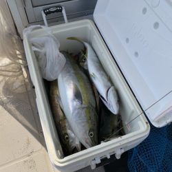 第八大安丸 釣果