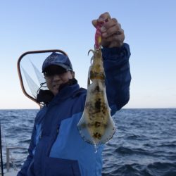 まるいち丸 ZERO-1 釣果