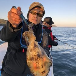 Magic（マジック） 釣果