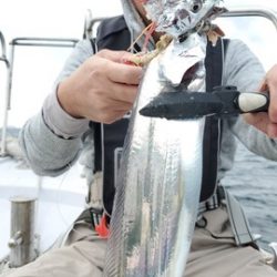 遊漁船　ニライカナイ 釣果