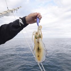 まるいち丸 ZERO-1 釣果