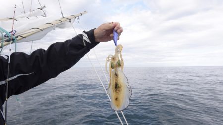 まるいち丸 ZERO-1 釣果