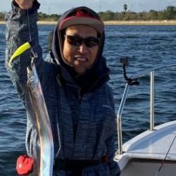 シーマジカル 釣果