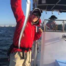 シーマジカル 釣果