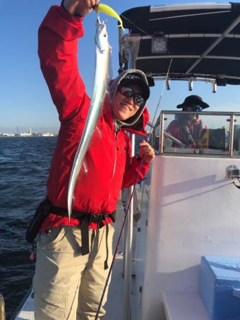 シーマジカル 釣果