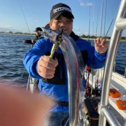 シーマジカル 釣果