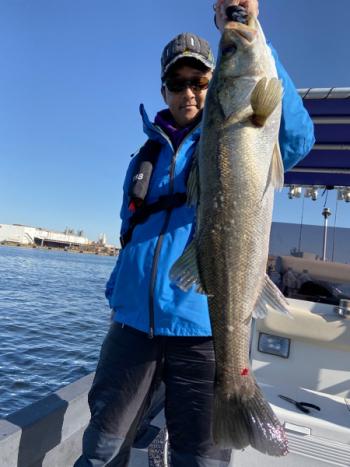 シーマジカル 釣果