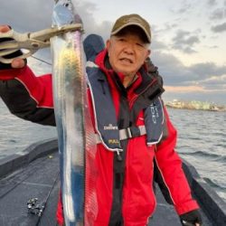 シーマジカル 釣果