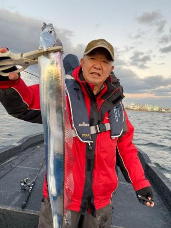 シーマジカル 釣果