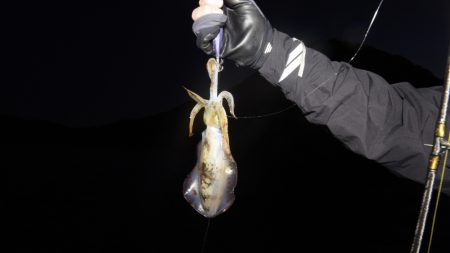 まるいち丸 ZERO-1 釣果