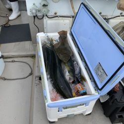 第八大安丸 釣果