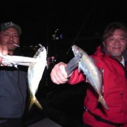 シーマジカル 釣果