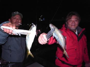 シーマジカル 釣果