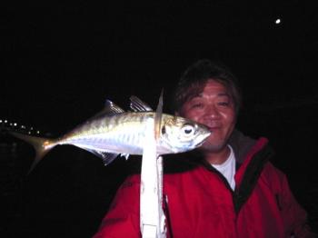 シーマジカル 釣果