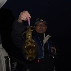 まるいち丸 ZERO-1 釣果