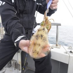 まるいち丸 ZERO-1 釣果