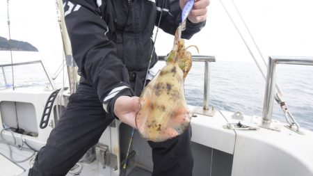 まるいち丸 ZERO-1 釣果